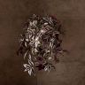 Традесканция Зебрина D17 фото 1 &mdash; Luxury Plants
