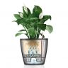 Кашпо Lechuza Classico LS 43 серо-коричневый фото 3 &mdash; Luxury Plants