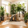 Кашпо Lechuza Classico LS 43 серо-коричневый фото 6 &mdash; Luxury Plants