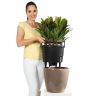 Кашпо Lechuza Classico LS 43 серо-коричневый фото 4 &mdash; Luxury Plants