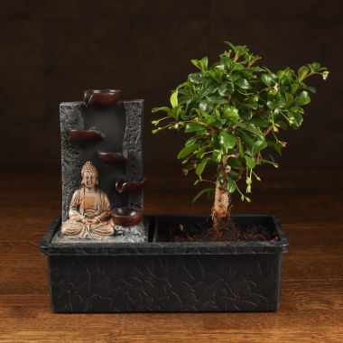 Бонсай Кармона с водопадом 25см &mdash; Luxury Plants