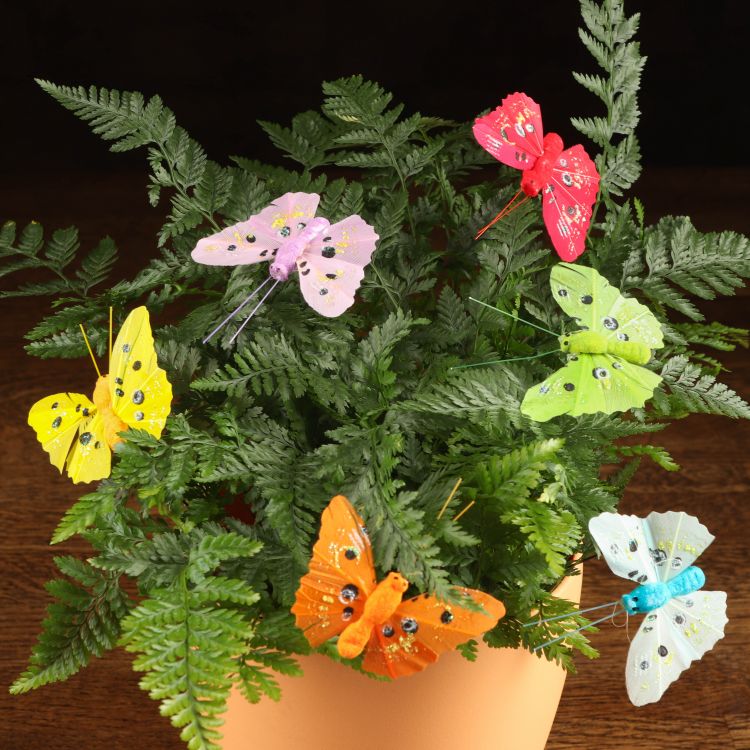 Бабочки 3Д для декора фото 1 &mdash; Luxury Plants