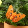 Бабочки 3Д для декора фото 2 &mdash; Luxury Plants