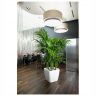 Кашпо Lechuza Quadro LS 21 кофе фото 4 &mdash; Luxury Plants