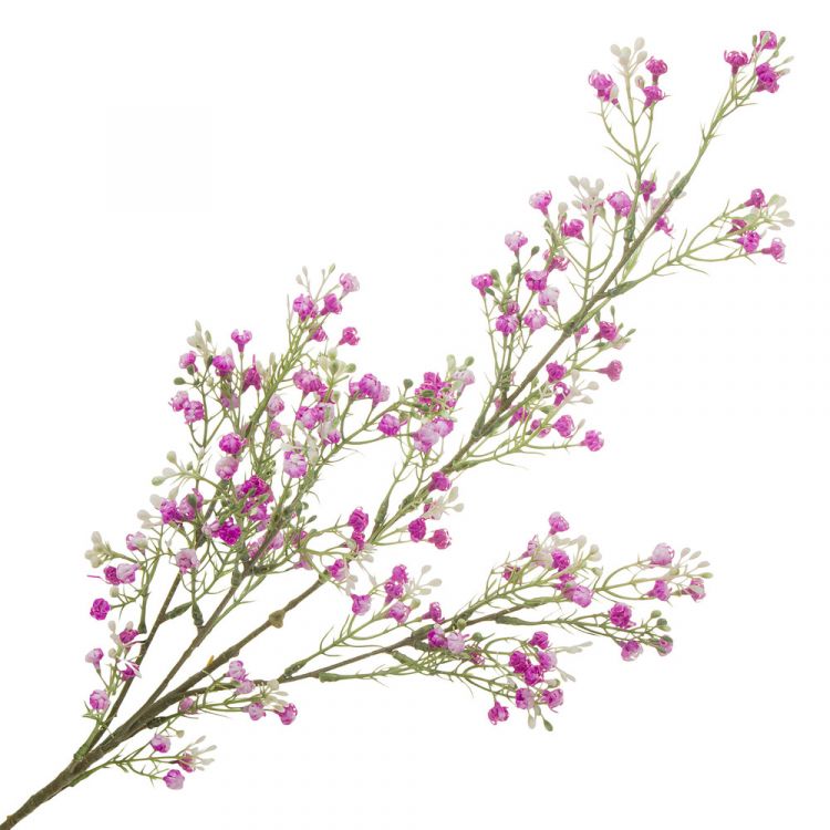 Растение искусственное "Хамелациум", H81 см,Розовый фото 1 &mdash; Luxury Plants