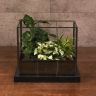 Флорариум «Растения в доме» фото 1 &mdash; Luxury Plants