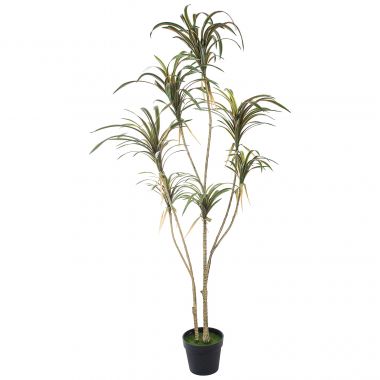 Дерево искусственное "Драцена Real touch" в кашпо (Пластик) 180 см &mdash; Luxury Plants