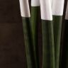 Сансевиерия цилиндрика с белой насадкой в керамике 40/12 фото 4 &mdash; Luxury Plants