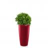 Лавр Нобилис Шар в кашпо Lechuza Rondo 32 фото 4 &mdash; Luxury Plants
