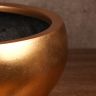 Кашпо TREEZ Effectory Metal Низкая полусфера Сусальное золото в-24 см, д-50 см фото 5 &mdash; Luxury Plants