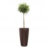 Олива в кашпо Lechuza Rondo 32 фото 3 &mdash; Luxury Plants