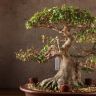 Бонсай Азалия Токихо 40см фото 3 &mdash; Luxury Plants