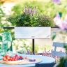 Кашпо Lechuza Cube Color Triple бежевый фото 7 &mdash; Luxury Plants