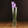 Орхидея Ванда в бокале Мишель нежно-сиреневая фото 2 &mdash; Luxury Plants