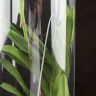 Орхидея Ванда в бокале Мишель нежно-сиреневая фото 5 &mdash; Luxury Plants