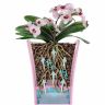 Горшок Santino Arte-dea/Арте-дея 1,25 л зеленое яблоко фото 3 &mdash; Luxury Plants
