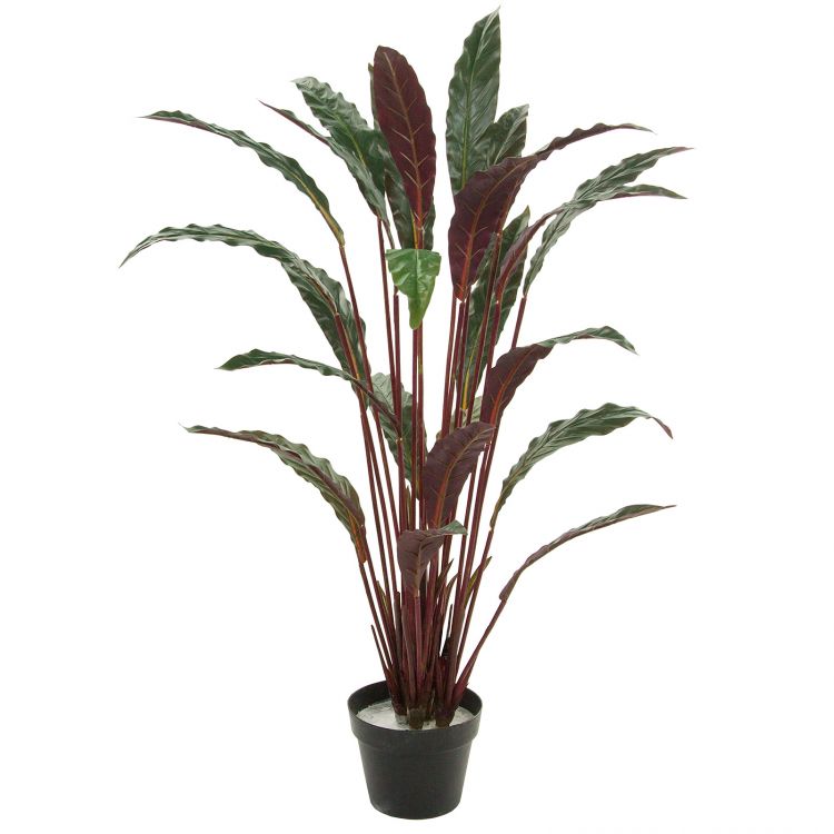 Растение искусственное "Калатея зебрина" в кашпо (Пластик) 100 см фото 1 &mdash; Luxury Plants