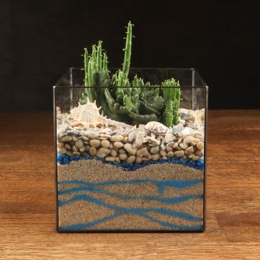 Флорариум "Остров Фантазий" с эуфорбией &mdash; Luxury Plants