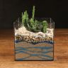 Флорариум "Остров Фантазий" с эуфорбией фото 1 &mdash; Luxury Plants