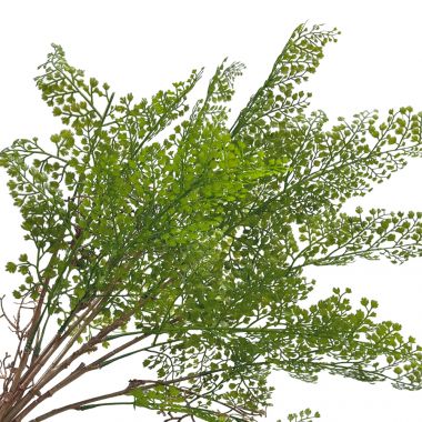 Растение искусственное "Папоротник Адиантум", H78 см,Зеленый &mdash; Luxury Plants