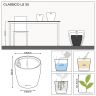 Юкка в кашпо Lechuza Classico LS 35 фото 8 &mdash; Luxury Plants