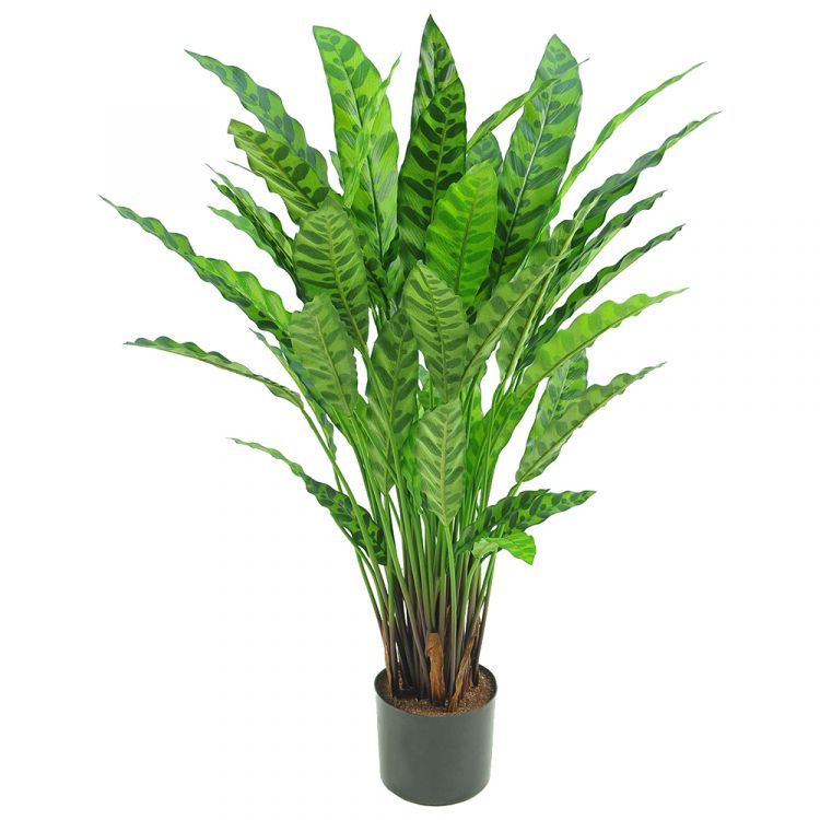 Растение искусственное "Калатея" в кашпо (Пластик) 82 см фото 1 &mdash; Luxury Plants