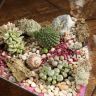 Флорариум "Планета Глизе" с суккулентами 30х15 фото 2 &mdash; Luxury Plants