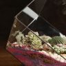 Флорариум "Планета Глизе" с суккулентами 30х15 фото 3 &mdash; Luxury Plants