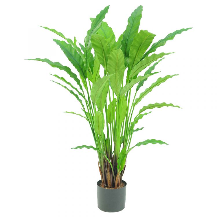 Растение искусственное "Калатея" в кашпо (Пластик) 77 см фото 1 &mdash; Luxury Plants