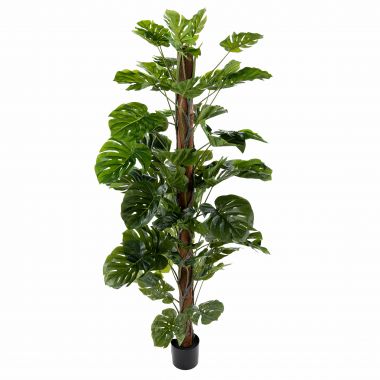 Искусственное растение "Монстера" в кашпо (Пластик) 180 см &mdash; Luxury Plants
