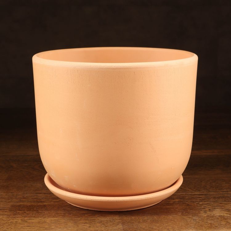 Горшок Терракота бук №3 Д19 фото 1 &mdash; Luxury Plants