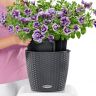 Кашпо Lechuza Nido Cottage 27 графитовый черный фото 3 &mdash; Luxury Plants