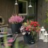 Кашпо Lechuza Nido Cottage 27 графитовый черный фото 7 &mdash; Luxury Plants