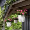 Кашпо Lechuza Nido Cottage 27 графитовый черный фото 8 &mdash; Luxury Plants