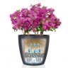 Кашпо Lechuza Classico Color 70 бежевый фото 3 &mdash; Luxury Plants