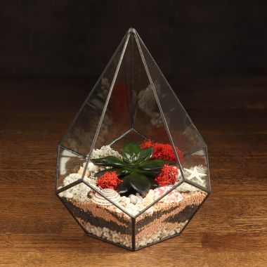Флорариум "Лагуна" с эхеверией &mdash; Luxury Plants