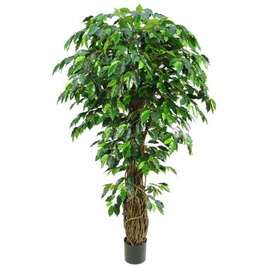 Дерево искусственное "Фикус-Лиана Тропикал" (Пластик) 190 см &mdash; Luxury Plants