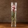 Орхидея Ванда в бокале Мишель розово-бордовая фото 2 &mdash; Luxury Plants