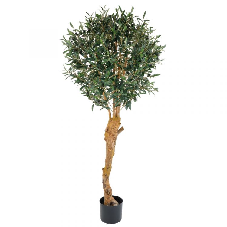 Дерево искусственное в кашпо "Олива", H155 см, 2106 листьев,Зеленый фото 1 &mdash; Luxury Plants