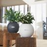 Кашпо Lechuza Puro 20 бежевый фото 6 &mdash; Luxury Plants