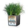 Кашпо Lechuza Cube Cottage 40 белый фото 3 &mdash; Luxury Plants