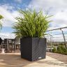 Кашпо Lechuza Cube Cottage 40 белый фото 7 &mdash; Luxury Plants