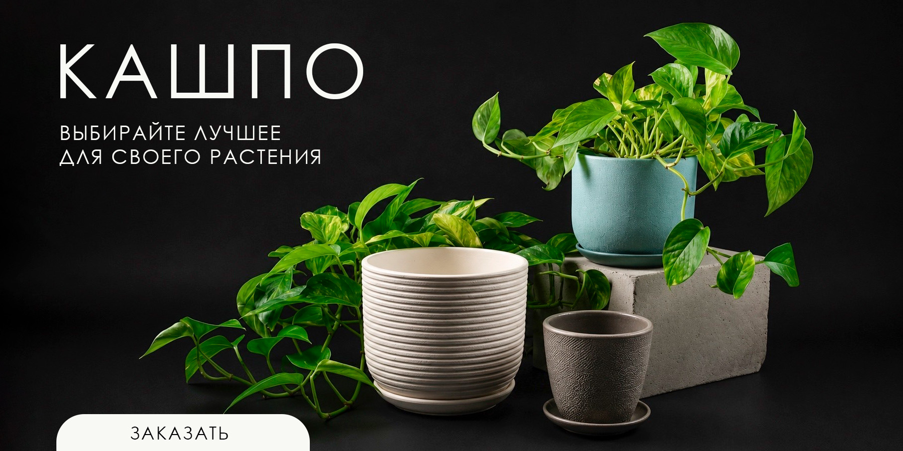 Горшки и кашпо для комнатных растений